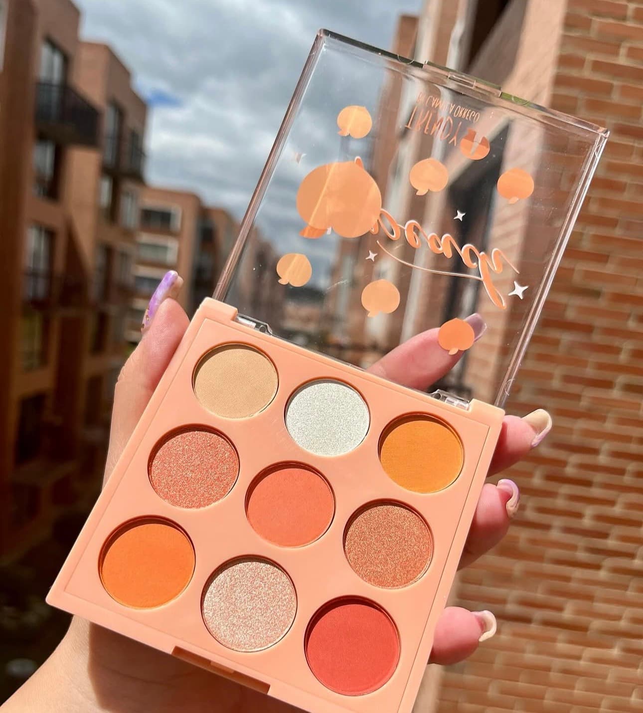 Paleta de sombra peach trendy