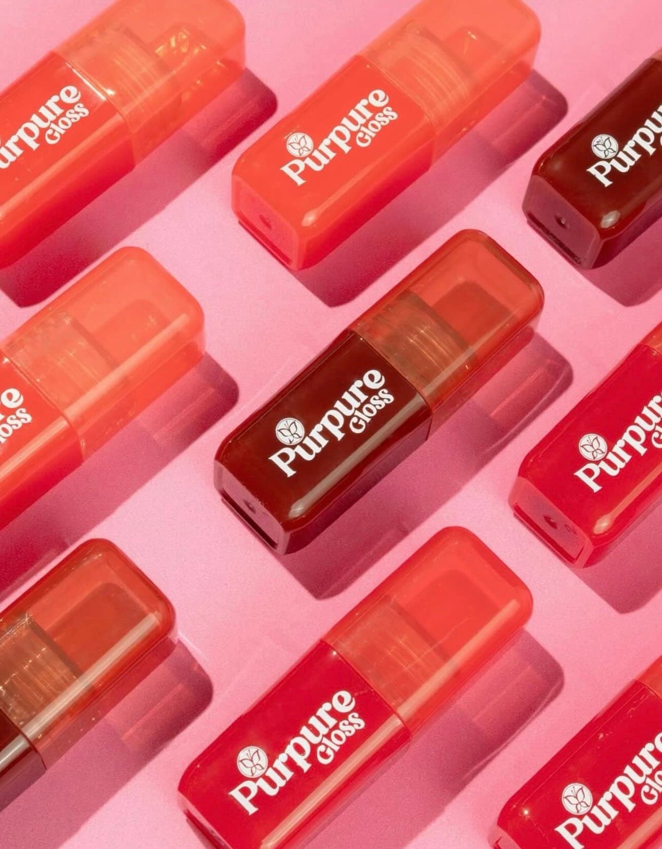 Gloss purpure